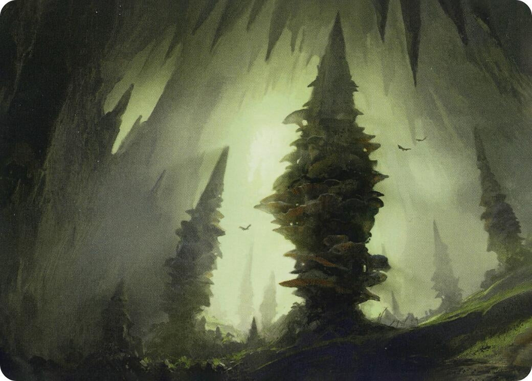 Image for Forest (55/81) Art Card (Art Series: Adventures in the Forgotten Realms) (55) - Magic: The Gathering