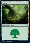 Image for Forest (384) (Innistrad: Midnight Hunt) (384) - Magic: The Gathering
