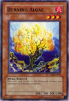 Image for Burning Algae (Dark Revelation Volume 2) (DR2-EN063) - YuGiOh
