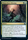 Image for Winterthorn Blessing (Innistrad: Midnight Hunt) (251) - Magic: The Gathering