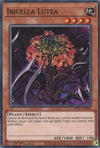 Image for Ibicella Lutea (2021 Tin of Ancient Battles) (MP21-EN009) - YuGiOh