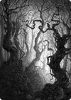 Image for Forest Art Card (80/81) (Art Series: Innistrad: Midnight Hunt) (80) - Magic: The Gathering