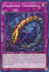 Image for Paleozoic Canadia (Structure Deck: Cyber Strike) (SDCS-EN039) - YuGiOh