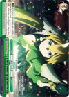 Image for Evil Should Be Slashed (Sword Art Online -Alicization- Vol.2) (SAO/S80-E054 CC) - Weiss Schwarz