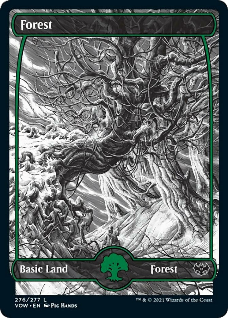 Image for Forest (276) (Innistrad: Crimson Vow) (276) - Magic: The Gathering