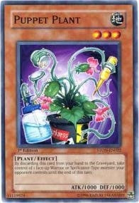 Image for Puppet Plant (Strike of Neos) (STON-EN022) - YuGiOh