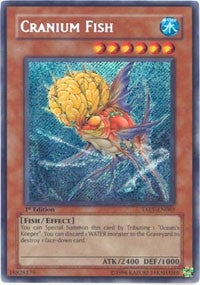 Image for Cranium Fish (Tactical Evolution) (TAEV-EN083) - YuGiOh