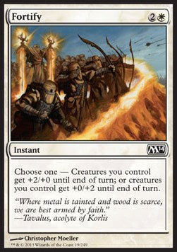 Fortify - Magic 2014 (Common) [M14-19]