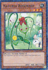 Image for Naturia Rosewhip (Duel Terminal) (Hidden Arsenal: Chapter 1) (HAC1-EN099) - YuGiOh
