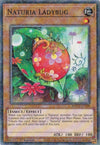 Image for Naturia Ladybug (Duel Terminal) (Hidden Arsenal: Chapter 1) (HAC1-EN109) - YuGiOh