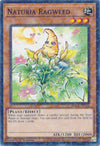 Image for Naturia Ragweed (Duel Terminal) (Hidden Arsenal: Chapter 1) (HAC1-EN114) - YuGiOh