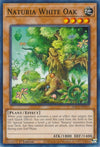 Image for Naturia White Oak (Hidden Arsenal: Chapter 1) (HAC1-EN115) - YuGiOh