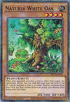 Image for Naturia White Oak (Duel Terminal) (Hidden Arsenal: Chapter 1) (HAC1-EN115) - YuGiOh