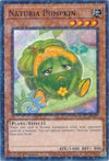 Image for Naturia Pumpkin (Duel Terminal) (Hidden Arsenal: Chapter 1) (HAC1-EN117) - YuGiOh