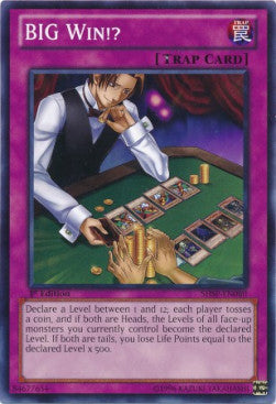 BIG Win!? - Shadow Specters (Common) [SHSP-080]