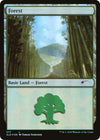 Image for Forest (577) (Secret Lair Drop Series) (577) - Magic: The Gathering