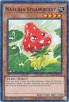 Image for Naturia Strawberry (Duel Terminal) (Hidden Arsenal: Chapter 1) (HAC1-EN110) - YuGiOh