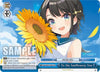Image for To the Sunflowery You (hololive production) (HOL/W91-TE055 TD) - Weiss Schwarz