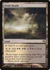 Image for Fetid Heath (Eventide) (176) - Magic: The Gathering