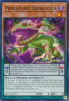 Image for Predaplant Bufolicula (Dimension Force) (DIFO-EN018) - YuGiOh