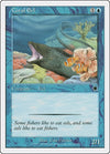 Image for Coral Eel (Starter 1999) (33) - Magic: The Gathering