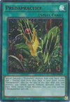 Image for Predapractice (Red) (Legendary Duelists: Season 3) (LDS3-EN079) - YuGiOh