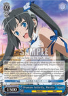 Image for Human Activity, Hestia (SR) (Is it Wrong to Try to Pick Up Girls in a Dungeon?) (DDM/S88-E075S SR) - Weiss Schwarz