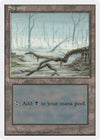 Image for Swamp (A) (Introductory Two-Player Set) (59) - Magic: The Gathering