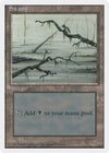 Image for Swamp (C) (Introductory Two-Player Set) (61) - Magic: The Gathering