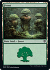 Image for Forest (274) (Dominaria United) (274) - Magic: The Gathering