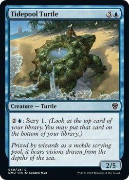 Image for Tidepool Turtle (Dominaria United) (69) - Magic: The Gathering