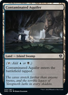 Image for Contaminated Aquifer (Dominaria United) (245) - Magic: The Gathering