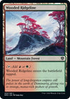 Image for Wooded Ridgeline (Dominaria United) (260) - Magic: The Gathering
