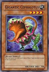 Image for Gigantic Cephalotus (Crossroads of Chaos) (CSOC-EN025) - YuGiOh