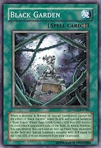 Image for Black Garden (Crossroads of Chaos) (CSOC-EN048) - YuGiOh
