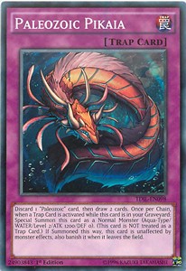 Paleozoic Pikaia - The Dark Illusion (Common) [TDIL-098]