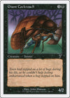Image for Giant Cockroach (7th Edition) (138) - Magic: The Gathering