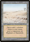 Image for Elephant Graveyard (Arabian Nights) - Magic: The Gathering