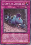 Image for Attack of the Cornered Rat (Raging Battle) (RGBT-EN075) - YuGiOh