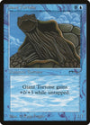 Image for Giant Tortoise (Arabian Nights) - Magic: The Gathering