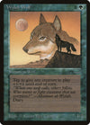 Image for Wyluli Wolf (Arabian Nights) - Magic: The Gathering