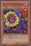 Image for Magical Plant Mandragola (Structure Deck: Spellcaster's Command) (SDSC-EN012) - YuGiOh
