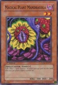 Image for Magical Plant Mandragola (Structure Deck: Spellcaster's Command) (SDSC-EN012) - YuGiOh