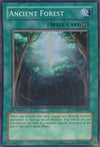 Image for Ancient Forest (Ancient Prophecy) (ANPR-EN048) - YuGiOh
