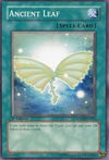 Image for Ancient Leaf (Ancient Prophecy) (ANPR-EN061) - YuGiOh