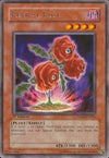 Image for Revival Rose (The Shining Darkness) (TSHD-EN016) - YuGiOh