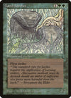 Image for Land Leeches (The Dark) - Magic: The Gathering