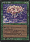 Image for Fungal Bloom (Fallen Empires) - Magic: The Gathering