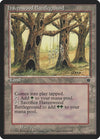 Image for Havenwood Battleground (Fallen Empires) - Magic: The Gathering