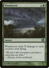 Image for Windstorm (Duel Decks: Garruk vs. Liliana) (25) - Magic: The Gathering